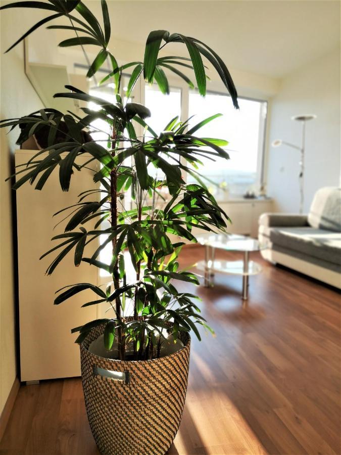 New With Garage Parking Apartment *
